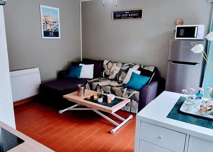 Le Marine Rez De Jardin Direct Parking Prive Climatise * Sète